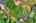 Blurred preview of media: 106 Cranarch Landing SE-59