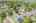 Blurred preview of media: DJI_20260604131317_0003_D