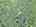 Blurred preview of media: DJI_20260829134105_0321_D_2_D_3_D_easyHDR