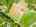 Blurred preview of media: 2-626-0762