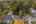 Blurred preview of media: 1-62