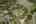 Blurred preview of media: untitled-140