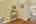 Blurred preview of media: DSC02153