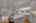 Blurred preview of media: 260018-22b