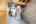 Blurred preview of media: 2002 Ingledale Rd-49
