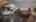 Blurred preview of media: 8