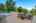 Blurred preview of media: 65