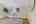 Blurred preview of media: 23_5 Pleasant