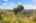 Blurred preview of media: Jonathan Dickinson State Park-9