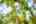 Blurred preview of media: 70-21290_SW_Eastview_Rd