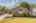 Blurred preview of media: 129MorrisSt-6