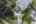 Blurred preview of media: 707 Whistler Dr_MLS (054 of 057)