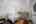 Blurred preview of media: DSC08701