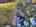 Blurred preview of media: DJI_0800_1_2_easyHDR