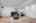 Blurred preview of media: DSC_6627