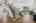 Blurred preview of media: 1580 Blakcomb Court 00037