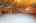 Blurred preview of media: 40