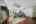 Blurred preview of media: DSC08811