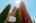 Blurred preview of media: WM-3KLimited-1