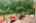 Blurred preview of media: 67 Quaker Lane Bolton Massachusetts Job 39838 0017