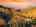 Blurred preview of media: DJI_0021_hdr (1)