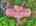 Blurred preview of media: DJI_20260616115258_0848_D_49_D_50_D_easyHDR
