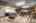 Blurred preview of media: DSC_6842