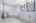 Blurred preview of media: 31