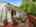 Blurred preview of media: Backyard Image May 11, 2026 at 07_15_53 PM