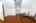Blurred preview of media: IMG_1821