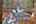 Blurred preview of media: IMG_0689_90_91_easyHDR