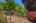 Blurred preview of media: 05