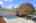Blurred preview of media: 1-3