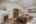 Blurred preview of media: 9-390_S_8th_St