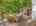 Blurred preview of media: Image Sep 13, 2026 at 04_31_42 PM