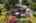 Blurred preview of media: 1-20