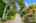 Blurred preview of media: Edmonds 207 Exterior-6