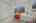 Blurred preview of media: 17