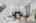 Blurred preview of media: DSC_6562