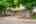 Blurred preview of media: 116 Severin Ave-102