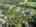 Blurred preview of media: DJI_20260723164604_0033_D-Edit