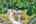 Blurred preview of media: DJI_0148_49_50_easyHDR