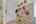 Blurred preview of media: CB108242