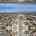 Blurred preview of media: 1015_S_San_Gabriel_Blvd_drn_006