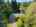 Blurred preview of media: 1-1
