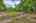 Blurred preview of media: IMG_0970_1_2_easyHDR