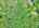Blurred preview of media: DJI_20260527103605_0020_D_1_D_2_D_easyHDR