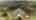 Blurred preview of media: 85208 Airplane Lane-74