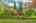 Blurred preview of media: 06