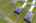 Blurred preview of media: iPixx_10_17